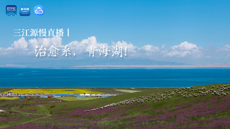 三江源慢直播丨治愈系，青海湖！