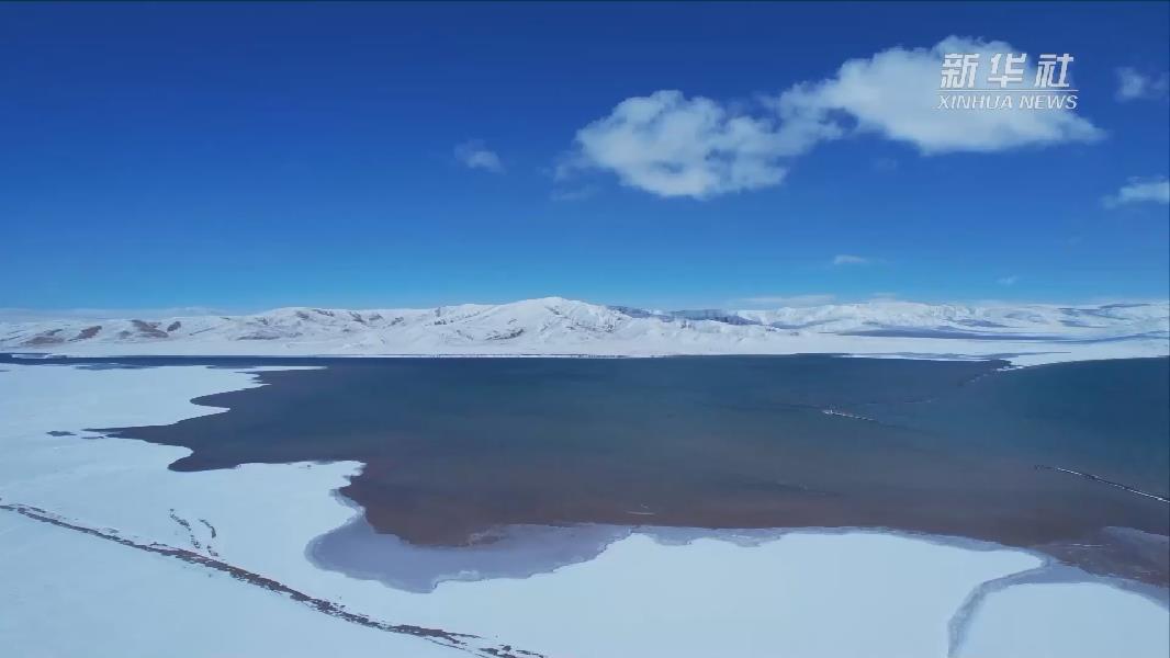 青?，敹啵憾喾N珍稀野生動(dòng)物亮相黃河源頭