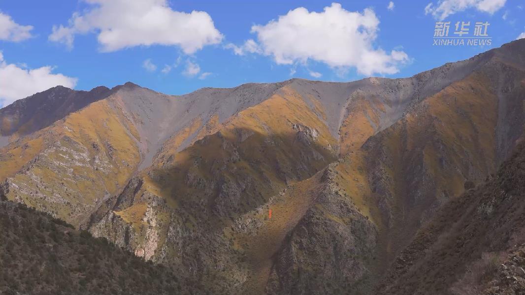 4362張照片！他們在這里堅(jiān)持10年開展雪豹種群動(dòng)態(tài)研究